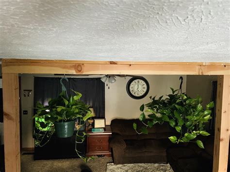 My golden and jade pothos 💕 Just need two more colors. I’m wanting to