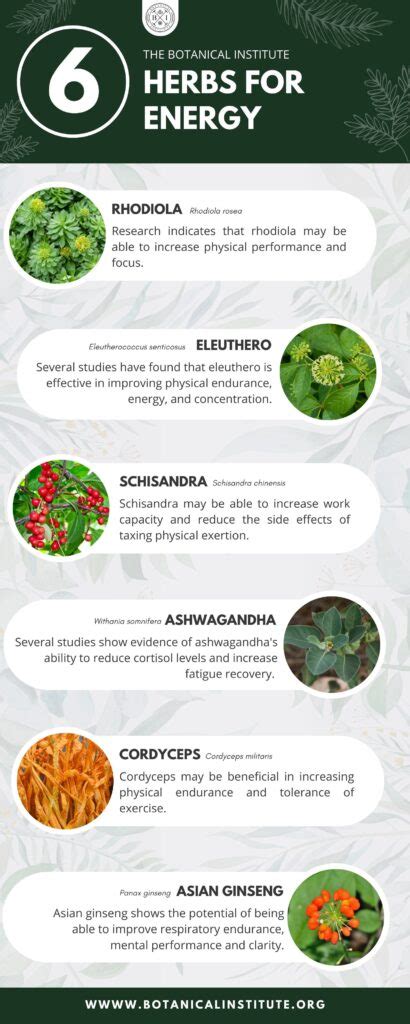 The 9 Best Herbs For Energy The Botanical Institute