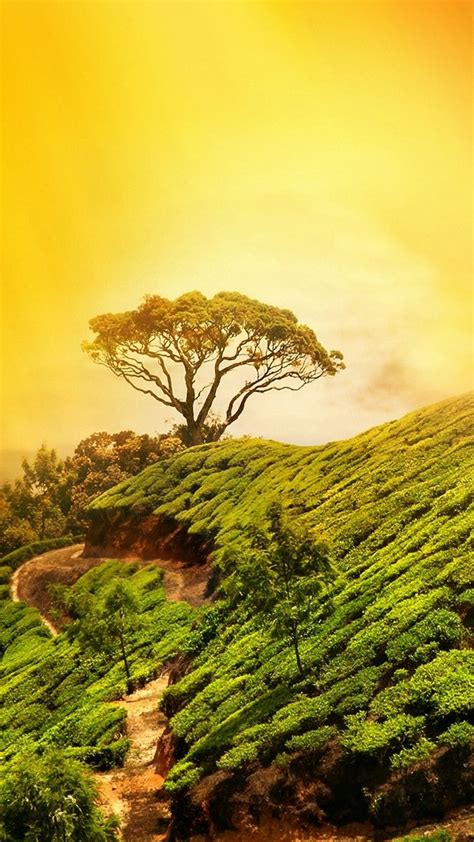Best Nature Wallpapers For Iphone