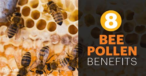 How much of polletje's work have you seen? Top 8 Bee Pollen Benefits- Dr. Axe