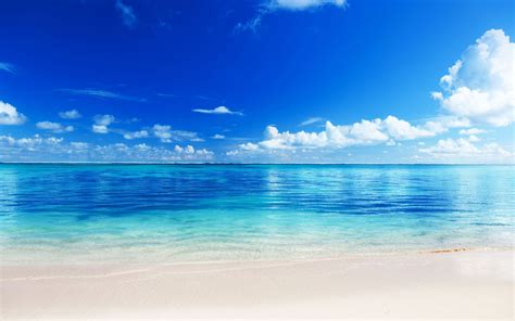 Download Wallpaper Sea Beach Horizon Sand Tropics Ultra Hd 4k By