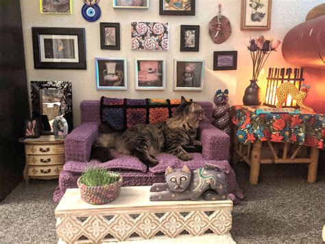 Photos These Spoiled Cats Have Their Own Living Room Complete With
