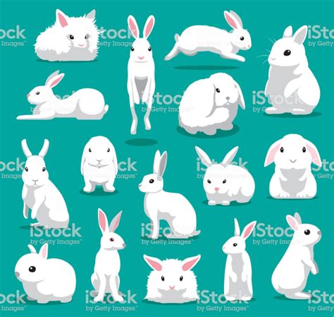 Animal Character Eps10 File Format Rabbit Pose Rabbit Illustration