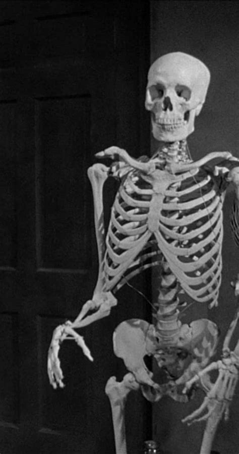 Skeleton - IMDb