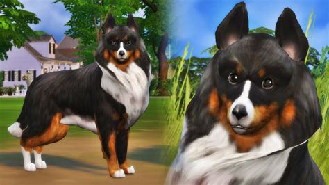 Improved Shetland Sheep Dog The Sims 4 Downloadable Youtube