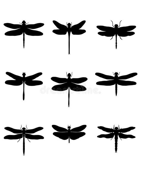 蜻蜓被设置的剪影纹身花刺 向量例证. 插画 包括有 食肉动物, 可实现, 符号, 例证, 图象, 盖子, 本质 - 17385856