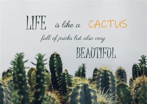 Just grab a quote from this huge list of witty cactus puns and quotes with the word cactus. Cactus - Quote Postcard - PostcardSisters