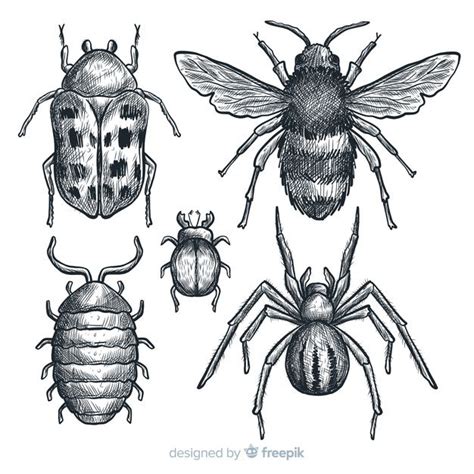 Realistic Hand Drawn Insects Sketch Set
