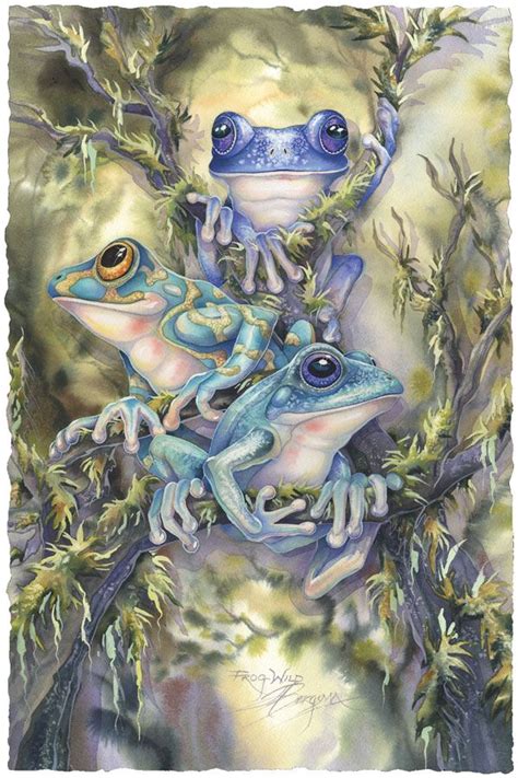 Bergsma Gallery Press Paintings Insects Amphibians Frogs