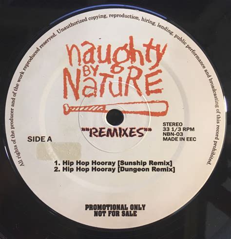 Naughty By Nature Remixes Vinyl Promo Discogs