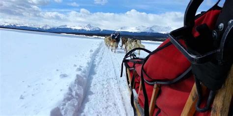 Alpine Adventures Dogsledding Leadville Co Dog Sledding In Lake County