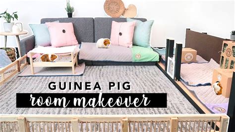 Extreme Guinea Pig Room Makeover And DIY Wooden Fence GuineaDad YouTube