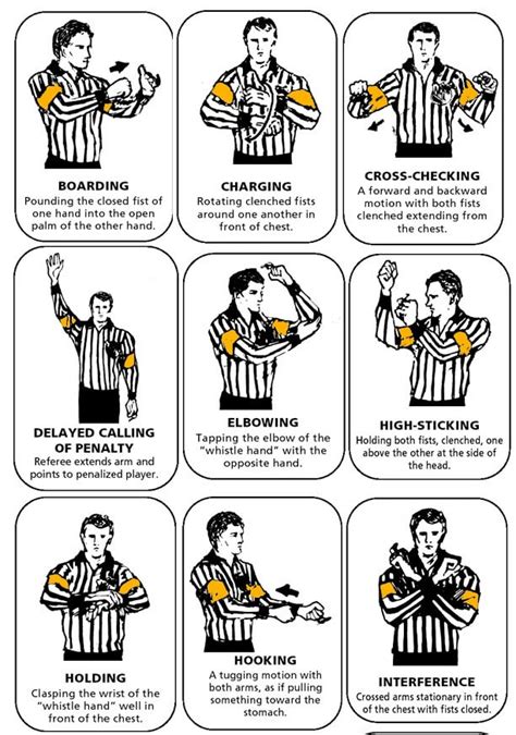 Basic Rules Of Nhl Hockey A Visual Guide Howtheyplay