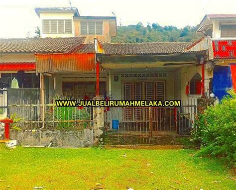 Karena ada banyak tempat kece seperti taman bunga matahari di bantul misalnya. TERES SETINGKAT TAMAN BUNGA RAYA, BUKIT BERUANG ...
