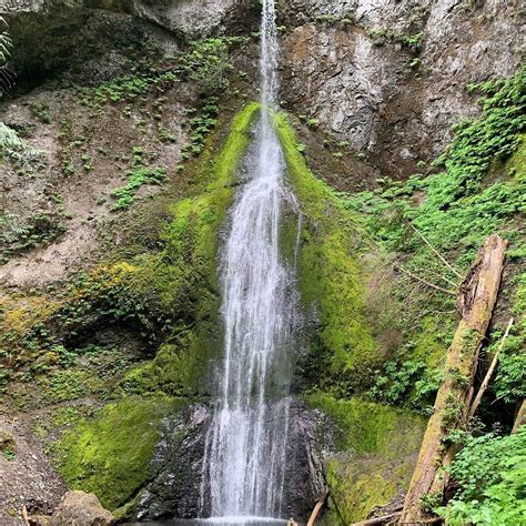 Marymere Falls Port Angeles All You Need To Know Before You Go