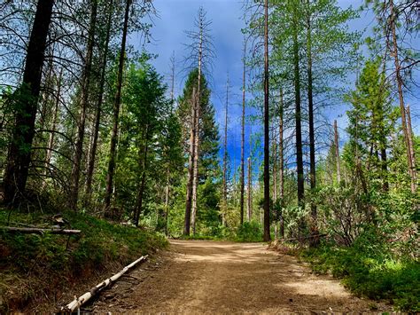 Hiking Fleming Trail Loop In Eldorado National Forest