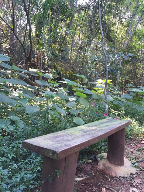 Ferienwohnung Parque Cordeiro Martin Luther King São Paulo Ferienhäuser mehr FeWo direkt