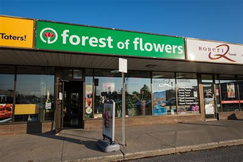 Forest Of Flowers 1920 Dundas St 106 London On N5v 3p1 Canada