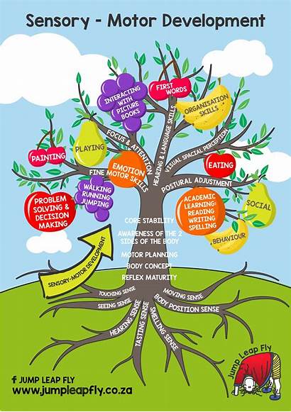 Importance Sensory Play Development Poster Tree Therapy
