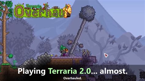 A Terraria Mod That Adds Terraria Playing With Terraria Overhaul S Madness Youtube