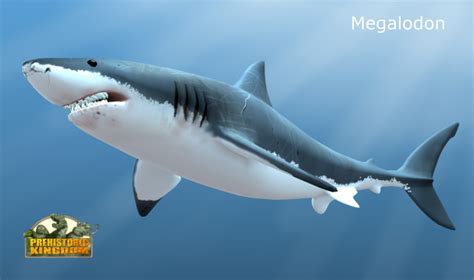 Megalodon | Prehistoric Kingdom Wiki | Fandom