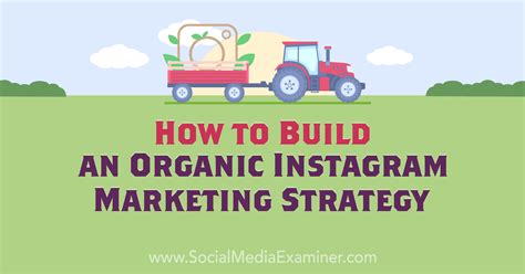 How To Build An Organic Instagram Marketing Strategy Social Media