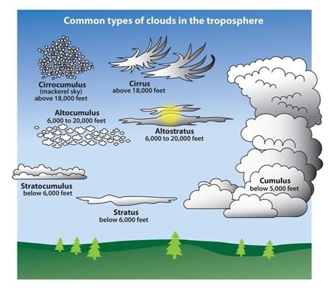 What Are The Three Main Types Of Clouds Are There Any Other Types And