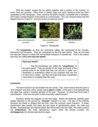 Biology m16 diversity of plants | PDF
