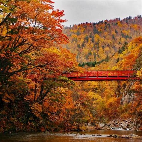 When To See The Autumn Foliage In Hokkaido Vacation