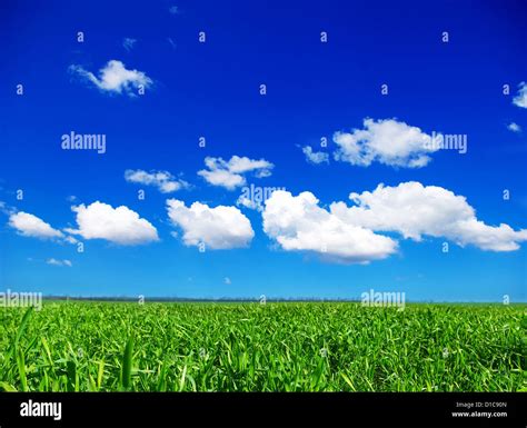 Green Field And Blue Sky Stock Photo Alamy