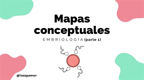 Mapas Conceptuales de Embriología