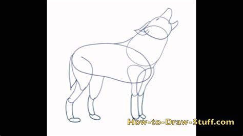 How To Draw A Wolf Step By Step Youtube