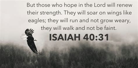 The Life Changing Meaning Of Isaiah 4031 You Will Soar On Wings Like