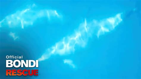 A Pod Of Dolphins On Bondi Beach Bondi Rescue Youtube