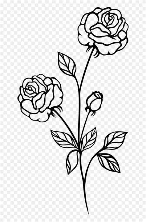 Rose Black And White Clip Art Flowers Roses Rose Plant Black And