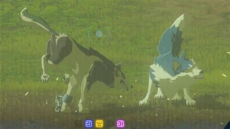 Tumblr is a place to express yourself, discover yourself, and bond over the stuff you love. Zelda: Breath of the Wild - Wolf Link plays with his ...