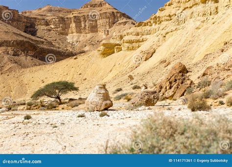 Stone Desert Landscape View Deep Canyon Cliffs Stock Image Image Of