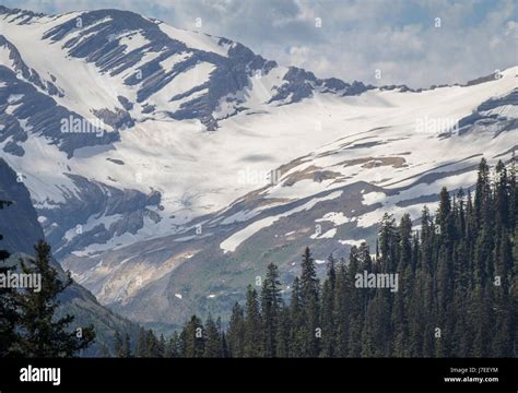 Jackson Glacierglacierglacier National Park Montana Usa Landscape