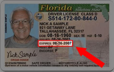 How To Find Old Florida Drivers License Number Pdfcard