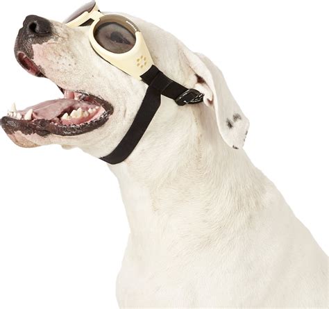 Doggles Ils Dog Goggles Chrome X Large