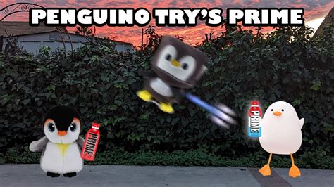 Penguino Trys Prime Youtube