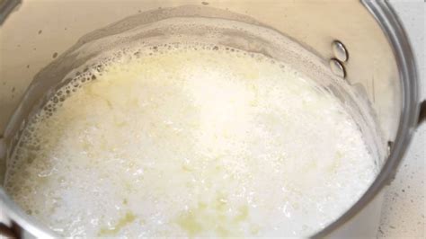 Homemade Ricotta With Cows Milk Or Goat Milk How To Make Cheese