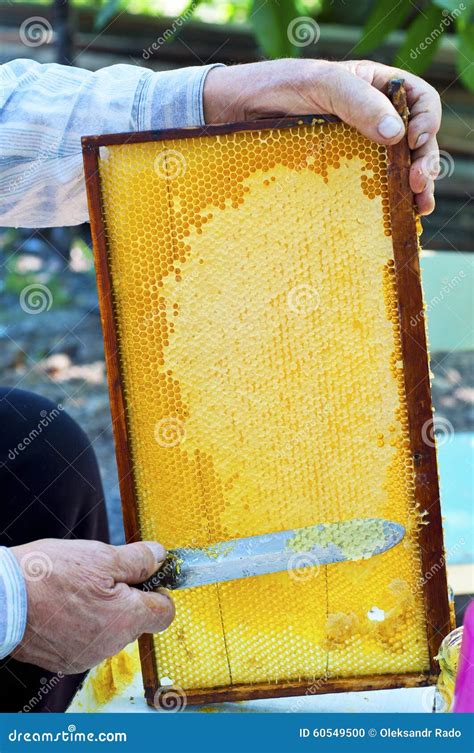 Close Up Of Human Hand Extracting Honey From Yellow Honeycomb Stock Photo Image Of Cell