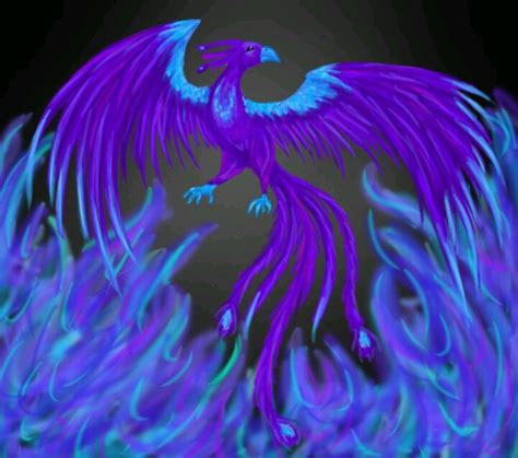 165 Best Images About Phoenix Bird Of Fire On Pinterest Phoenix