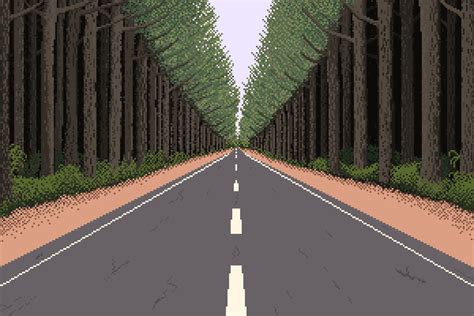 A Tarred Road With A Forest Of Trees On Either Side Of It Some