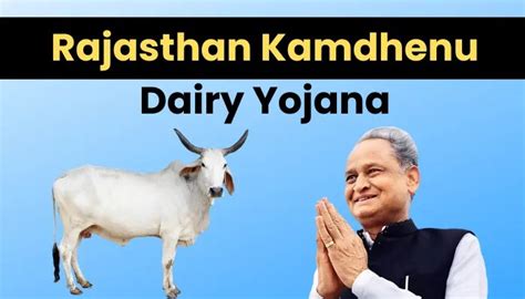 राजस्थान कामधेनु डेयरी योजना 2022 Rajasthan Kamdhenu Dairy Yojana