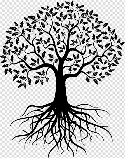 Plant Clipart Black And White With Roots