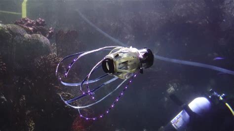 Bio Inspired Soft Robotics Are Making A Splash In Ocean Research
