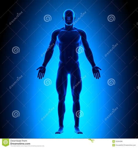 Human body parts brushes pack kid builder part 2 body parts conceptual composition about bad relationships, male hands on different sides of a door. Full Body - Front View - Blue Concept Royalty Free Stock Image - Image: 32284386