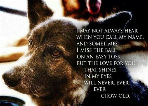 Pin By Heather Burleson On Puppy Love Dog Quotes Dog Love Dogs